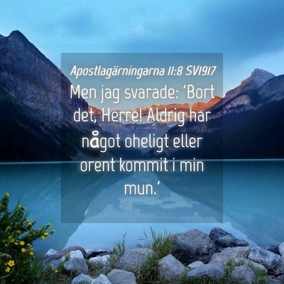 Picture 04 - Apostlagärningarna 11:8 SV1917 - Men jag svarade: 'Bort det, Herre! Aldrig har - Bible Verse Picture