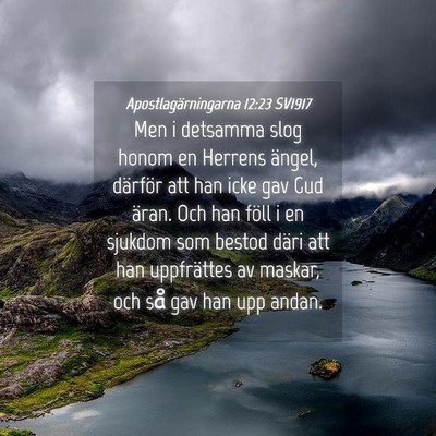 Picture 04 - Apostlagärningarna 12:23 SV1917 - Men i detsamma slog honom en Herrens ängel, - Bible Verse Picture