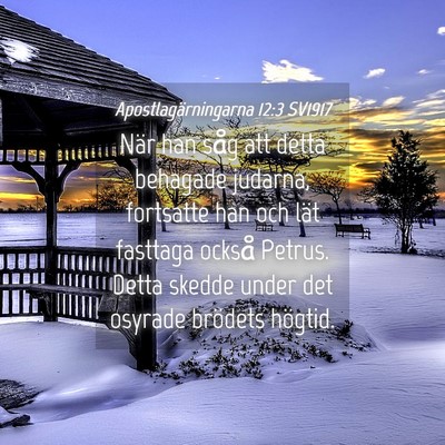 Picture 04 - Apostlagärningarna 12:3 SV1917 - När han såg att detta behagade judarna, - Bible Verse Picture