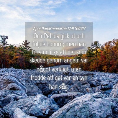 Picture 04 - Apostlagärningarna 12:9 SV1917 - Och Petrus gick ut och följde honom; men han - Bible Verse Picture