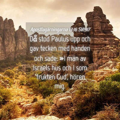 Picture 04 - Apostlagärningarna 13:16 SV1917 - Då stod Paulus upp och gav tecken med handen och - Bible Verse Picture