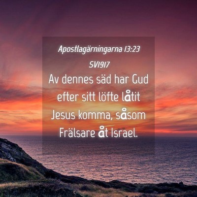 Picture 04 - Apostlagärningarna 13:23 SV1917 - Av dennes säd har Gud efter sitt löfte låtit - Bible Verse Picture