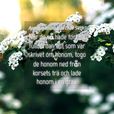 Picture 04 - Apostlagärningarna 13:29 SV1917 - När de så hade fört till fullbordan allt som - Bible Verse Picture
