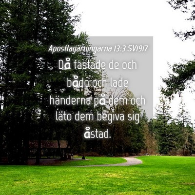 Picture 04 - Apostlagärningarna 13:3 SV1917 - Då fastade de och bådo och lade händerna på - Bible Verse Picture