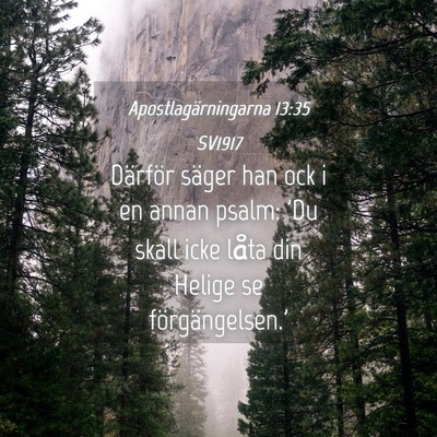 Picture 04 - Apostlagärningarna 13:35 SV1917 - Därför säger han ock i en annan psalm: 'Du - Bible Verse Picture