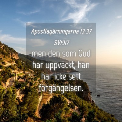 Picture 04 - Apostlagärningarna 13:37 SV1917 - men den som Gud har uppväckt, han har icke sett - Bible Verse Picture