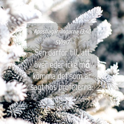 Picture 04 - Apostlagärningarna 13:40 SV1917 - Sen därför till, att över eder icke må komma - Bible Verse Picture