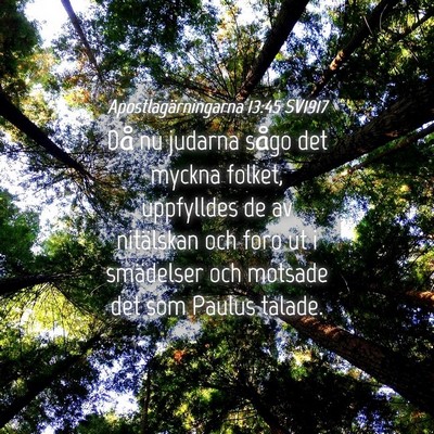 Picture 04 - Apostlagärningarna 13:45 SV1917 - Då nu judarna sågo det myckna folket, - Bible Verse Picture