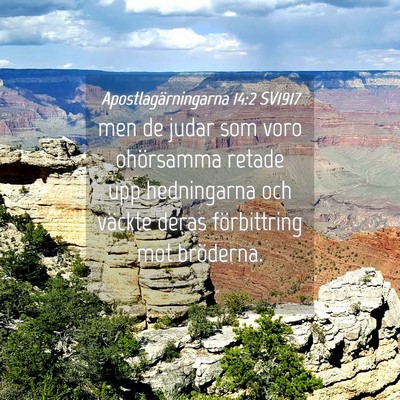 Picture 04 - Apostlagärningarna 14:2 SV1917 - men de judar som voro ohörsamma retade upp - Bible Verse Picture