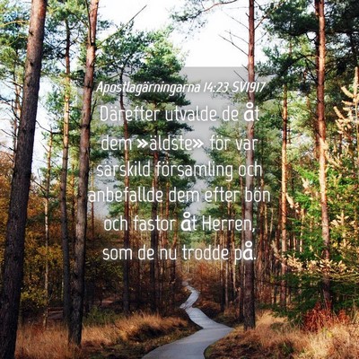 Picture 04 - Apostlagärningarna 14:23 SV1917 - Därefter utvalde de åt dem »äldste» för var - Bible Verse Picture