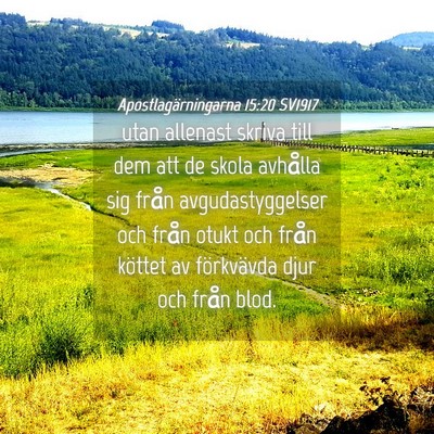 Picture 04 - Apostlagärningarna 15:20 SV1917 - utan allenast skriva till dem att de skola - Bible Verse Picture