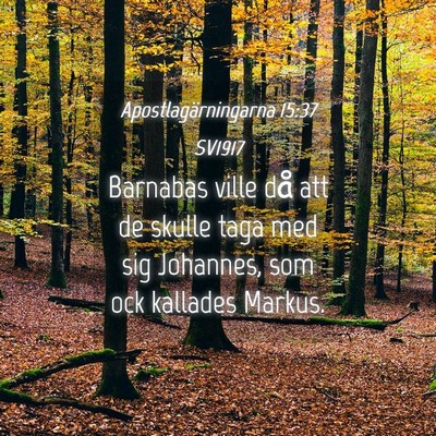 Picture 04 - Apostlagärningarna 15:37 SV1917 - Barnabas ville då att de skulle taga med sig - Bible Verse Picture
