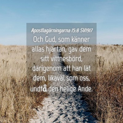 Picture 04 - Apostlagärningarna 15:8 SV1917 - Och Gud, som känner allas hjärtan, gav dem sitt - Bible Verse Picture