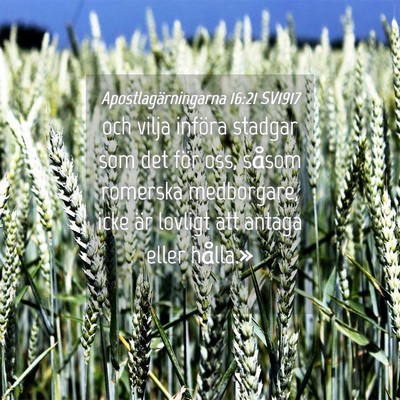 Picture 04 - Apostlagärningarna 16:21 SV1917 - och vilja införa stadgar som det för oss, - Bible Verse Picture