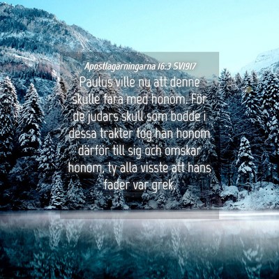 Picture 04 - Apostlagärningarna 16:3 SV1917 - Paulus ville nu att denne skulle fara med honom. - Bible Verse Picture
