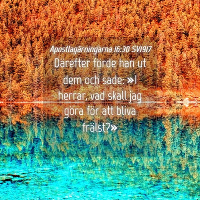 Picture 04 - Apostlagärningarna 16:30 SV1917 - Därefter förde han ut dem och sade: »I herrar, - Bible Verse Picture