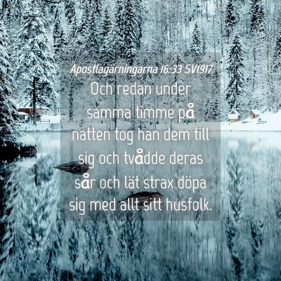 Picture 04 - Apostlagärningarna 16:33 SV1917 - Och redan under samma timme på natten tog han - Bible Verse Picture