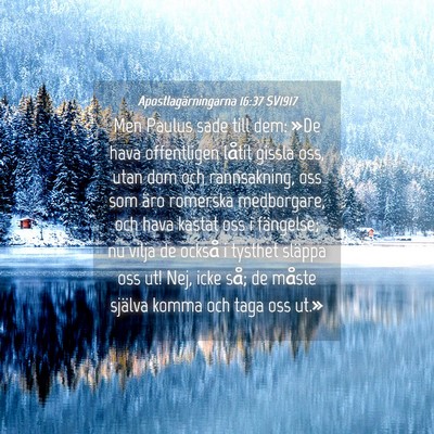 Picture 04 - Apostlagärningarna 16:37 SV1917 - Men Paulus sade till dem: »De hava offentligen - Bible Verse Picture