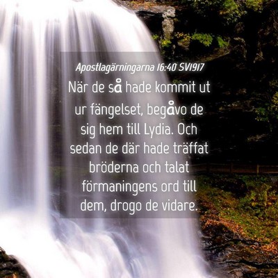 Picture 04 - Apostlagärningarna 16:40 SV1917 - När de så hade kommit ut ur fängelset, begåvo - Bible Verse Picture