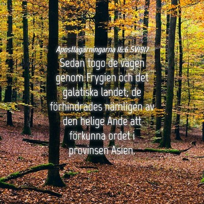 Picture 04 - Apostlagärningarna 16:6 SV1917 - Sedan togo de vägen genom Frygien och det - Bible Verse Picture