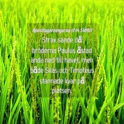 Picture 04 - Apostlagärningarna 17:14 SV1917 - Strax sände då bröderna Paulus åstad ända - Bible Verse Picture