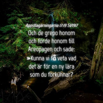 Picture 04 - Apostlagärningarna 17:19 SV1917 - Och de grepo honom och förde honom till - Bible Verse Picture