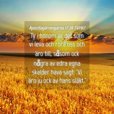 Picture 04 - Apostlagärningarna 17:28 SV1917 - Ty i honom är det som vi leva och röra oss och - Bible Verse Picture