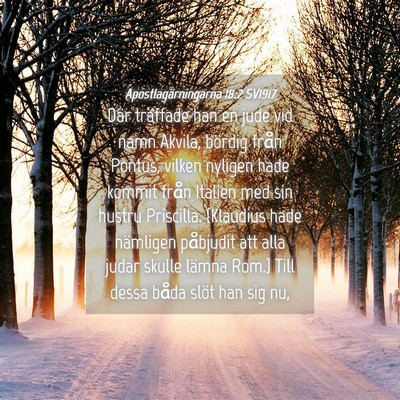 Picture 04 - Apostlagärningarna 18:2 SV1917 - Där träffade han en jude vid namn Akvila, - Bible Verse Picture