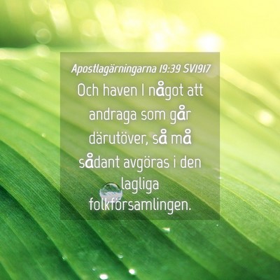 Picture 04 - Apostlagärningarna 19:39 SV1917 - Och haven I något att andraga som går - Bible Verse Picture