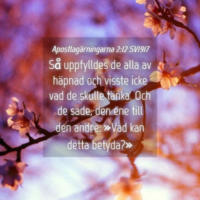 Picture 04 - Apostlagärningarna 2:12 SV1917 - Så uppfylldes de alla av häpnad och visste icke - Bible Verse Picture