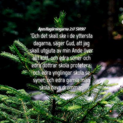 Picture 04 - Apostlagärningarna 2:17 SV1917 - 'Och det skall ske i de yttersta dagarna, säger - Bible Verse Picture