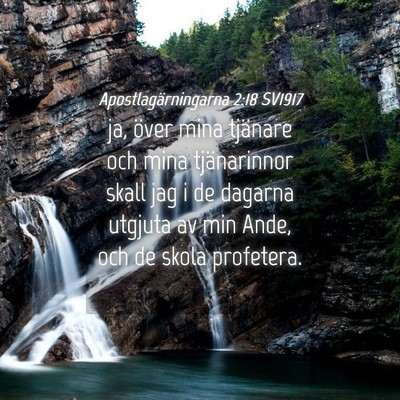 Picture 04 - Apostlagärningarna 2:18 SV1917 - ja, över mina tjänare och mina tjänarinnor - Bible Verse Picture
