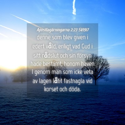 Picture 04 - Apostlagärningarna 2:23 SV1917 - denne som blev given i edert våld, enligt vad - Bible Verse Picture