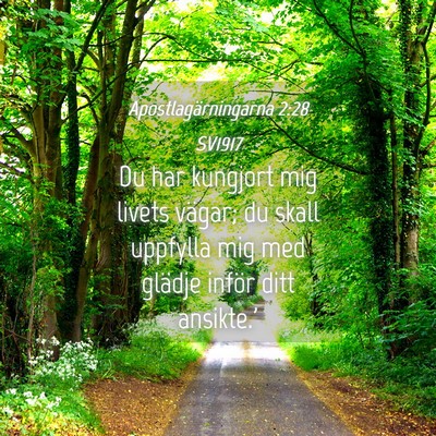 Picture 04 - Apostlagärningarna 2:28 SV1917 - Du har kungjort mig livets vägar; du skall - Bible Verse Picture