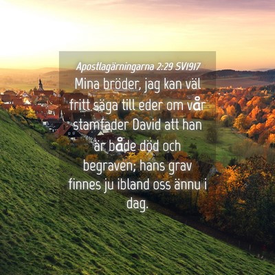 Picture 04 - Apostlagärningarna 2:29 SV1917 - Mina bröder, jag kan väl fritt säga till eder - Bible Verse Picture