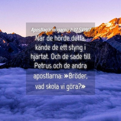 Picture 04 - Apostlagärningarna 2:37 SV1917 - När de hörde detta, kände de ett styng i - Bible Verse Picture