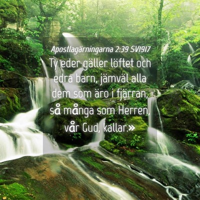 Picture 04 - Apostlagärningarna 2:39 SV1917 - Ty eder gäller löftet och edra barn, jämväl - Bible Verse Picture