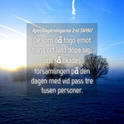 Picture 04 - Apostlagärningarna 2:41 SV1917 - De som då togo emot hans ort läto döpa sig; - Bible Verse Picture