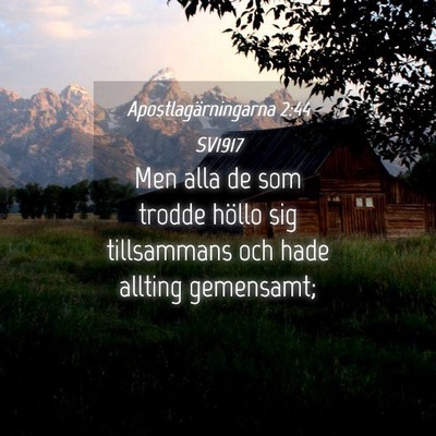 Picture 04 - Apostlagärningarna 2:44 SV1917 - Men alla de som trodde höllo sig tillsammans och - Bible Verse Picture