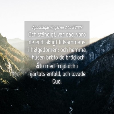 Picture 04 - Apostlagärningarna 2:46 SV1917 - Och ständigt, var dag, voro de endräktigt - Bible Verse Picture