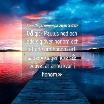 Picture 04 - Apostlagärningarna 20:10 SV1917 - Då gick Paulus ned och lade sig över honom och - Bible Verse Picture