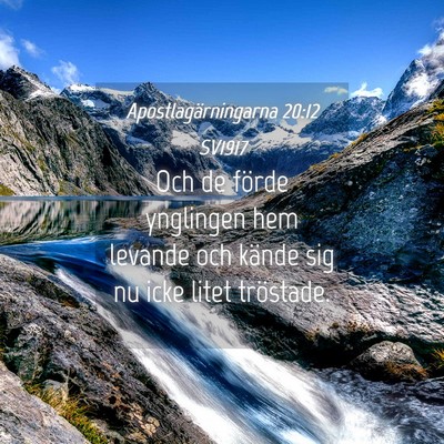 Picture 04 - Apostlagärningarna 20:12 SV1917 - Och de förde ynglingen hem levande och kände - Bible Verse Picture