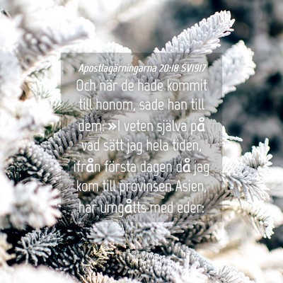 Picture 04 - Apostlagärningarna 20:18 SV1917 - Och när de hade kommit till honom, sade han till - Bible Verse Picture