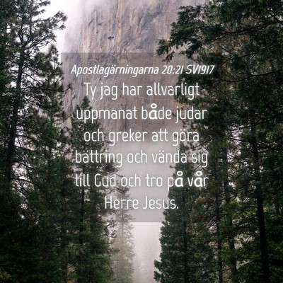 Picture 04 - Apostlagärningarna 20:21 SV1917 - Ty jag har allvarligt uppmanat både judar och - Bible Verse Picture