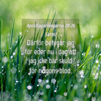 Picture 04 - Apostlagärningarna 20:26 SV1917 - Därför betygar jag för eder nu i dag att jag - Bible Verse Picture