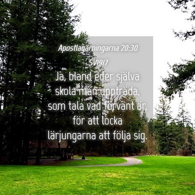Picture 04 - Apostlagärningarna 20:30 SV1917 - Ja, bland eder själva skola män uppträda, som - Bible Verse Picture