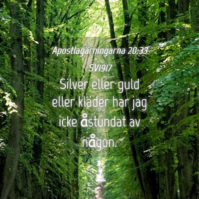 Picture 04 - Apostlagärningarna 20:33 SV1917 - Silver eller guld eller kläder har jag icke - Bible Verse Picture