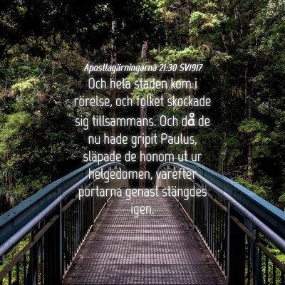 Picture 04 - Apostlagärningarna 21:30 SV1917 - Och hela staden kom i rörelse, och folket - Bible Verse Picture