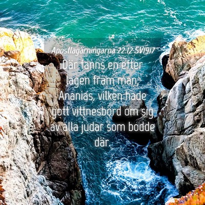 Picture 04 - Apostlagärningarna 22:12 SV1917 - Där fanns en efter lagen fram man, Ananias, - Bible Verse Picture