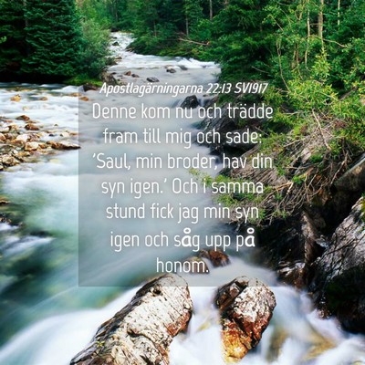 Picture 04 - Apostlagärningarna 22:13 SV1917 - Denne kom nu och trädde fram till mig och sade: - Bible Verse Picture